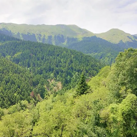 Elatalia Plastira * Filakti