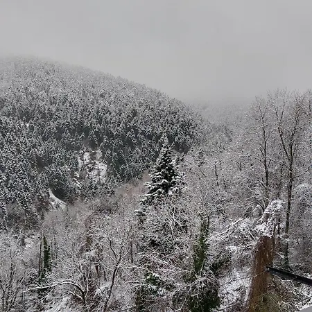 Σπίτι διακοπών Elatalia Plastira *