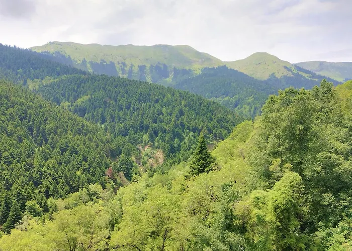 Elatalia Plastira * Filakti