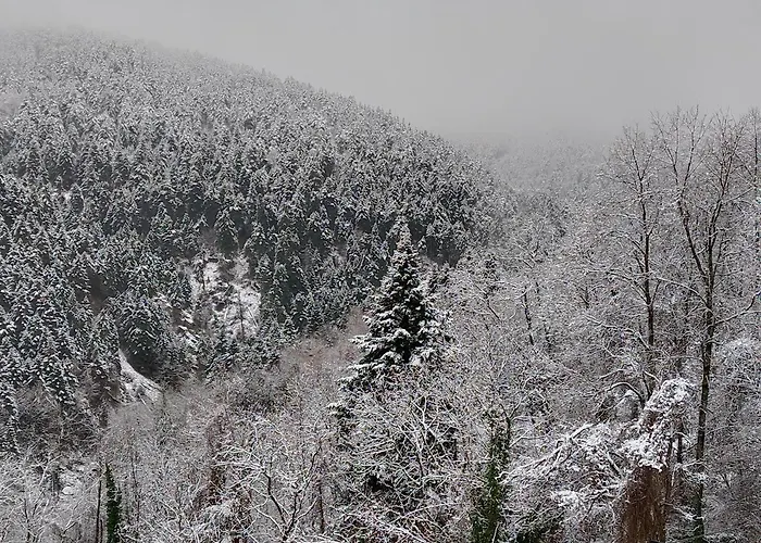 Case de vacanță Elatalia Plastira *